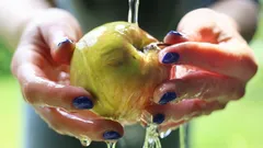 Tyto návyky zkracují trvanlivost jablek o týdny – ověřeno v praxi