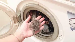 Proč ve pračce zůstávají vlasy – a jak je odstranit napoprvé