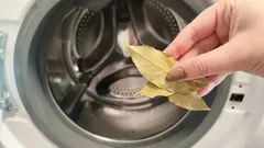 Babiččin tajný trik: bobkový list pomůže vrátit prádlu svěžest bez chemie